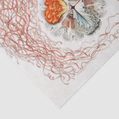 ヴィンテージコラージュのクラゲ模様のデカップージ 薄葉紙 (詳細)