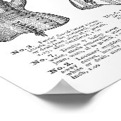 ヴィンテージコルセットカタログ ポスター (角)