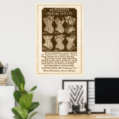 ヴィンテージコルリネコルセット1890年 ポスター (ホームオフィス)