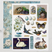 ヴィンテージコレクションEphemera: Birds and a Bunny (正面/裏面)