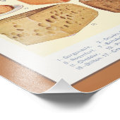 ヴィンテージコレージの家計，カブトムン， 1923 フォトプリント            (角)