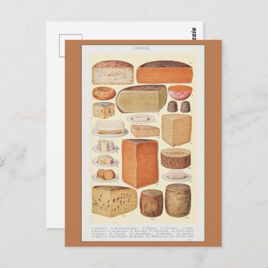 ヴィンテージコレージの家計,カブトムン, 1923 ポストカード (正面/裏面)