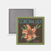 ヴィンテージコロナリーブランド磁石 マグネット (正面/裏面)