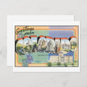 ヴィンテージコロラドポストカード ポストカード (正面/裏面)