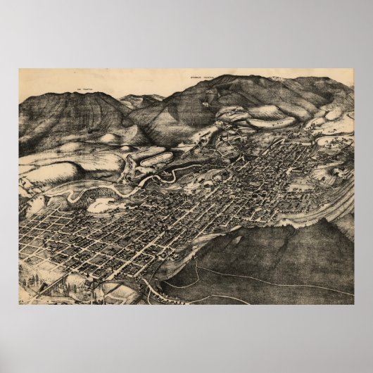 ヴィンテージコロラド州《植物》アスペン地図(1893) ポスター (正面)