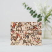 ヴィンテージコンステレーションスターマップバイバックアとブローン ポストカード (スタンド正面)