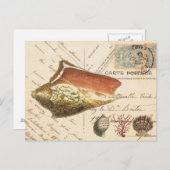 ヴィンテージコンチシェルと貝葉書 ポストカード (正面/裏面)