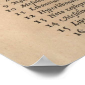 ヴィンテージコンパスバラ図(1664) ポスター (角)