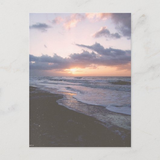 ヴィンテージコースタルサウスカロライナ ポストカード (正面)