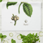 ヴィンテージコーヒープラントイラストレーション キッチンタオル (折り畳み)