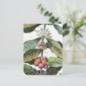 ヴィンテージコーヒー豆のアートワーク ポストカード (スタンド正面)