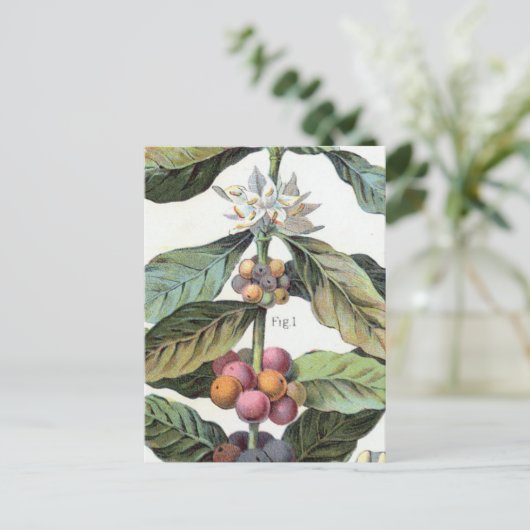 ヴィンテージコーヒー豆のアートワーク ポストカード (スタンド正面)