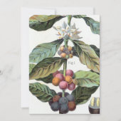 ヴィンテージコーヒー豆のアートワーク 招待状 (正面)