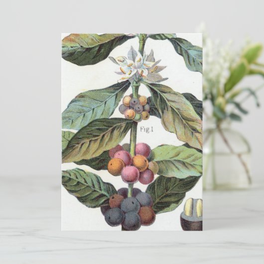 ヴィンテージコーヒー豆のアートワーク 招待状 (スタンド正面)