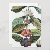 ヴィンテージコーヒー豆のアートワーク 招待状 (正面/裏面)