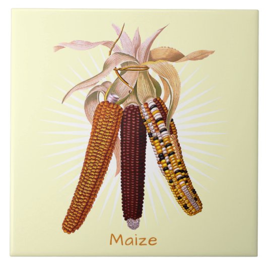 ヴィンテージコーンまたはトウモロコシ果実芸術陶磁器タイル タイル (正面)