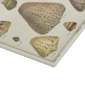 ヴィンテージコーンシェル カッティングボード (角)