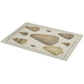 ヴィンテージコーンシェル カッティングボード (角)