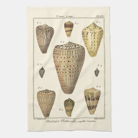 ヴィンテージコーンシェル キッチンタオル (縦)