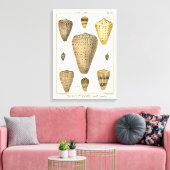 ヴィンテージコーンシェル キャンバスプリント (インサイチュ (リビング))