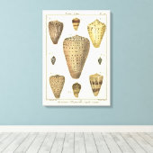 ヴィンテージコーンシェル キャンバスプリント (インサイチュ (ウッドフロア))