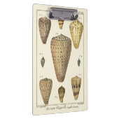 ヴィンテージコーンシェル クリップボード (右)