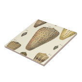 ヴィンテージコーンシェル タイル (側面)