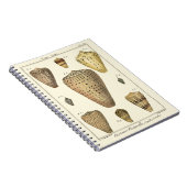 ヴィンテージコーンシェル ノートブック (右側)