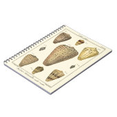 ヴィンテージコーンシェル ノートブック (左側)