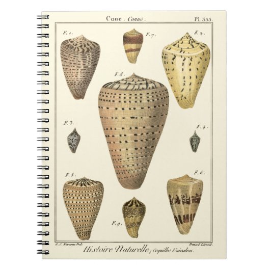 ヴィンテージコーンシェル ノートブック (正面)