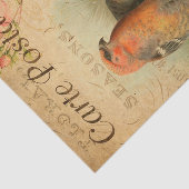 ヴィンテージゴスビークバードズフローラフランスのカルテポスタレ 薄葉紙 (詳細)