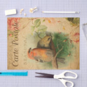 ヴィンテージゴスビークバードズフローラフランスのカルテポスタレ 薄葉紙 (クラフト)