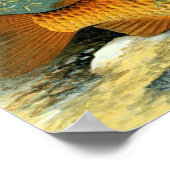 ヴィンテージゴールデンカープコイ金魚 ポスター (角)