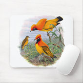 ヴィンテージゴールデンバードオブパラダイス – マウスパッド (マウス)