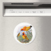 ヴィンテージゴールデンバードオブパラダイス マグネット (インサイチュ (食洗機))