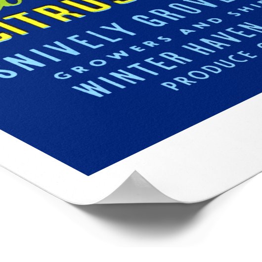 ヴィンテージサイプレスガーデンズフロリダシトラスフルーツポステ ポスター (角)