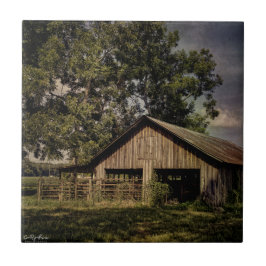 ヴィンテージサウスジョージアバーンオールオーバープリントトートバッグ タイル