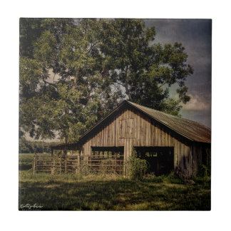 ヴィンテージサウスジョージアバーンオールオーバープリントトートバッグ タイル