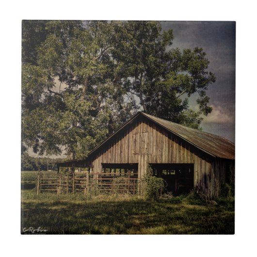 ヴィンテージサウスジョージアバーンオールオーバープリントトートバッグ タイル (正面)