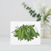 ヴィンテージサトウキビ，食品，健康な野菜 (スタンド正面)