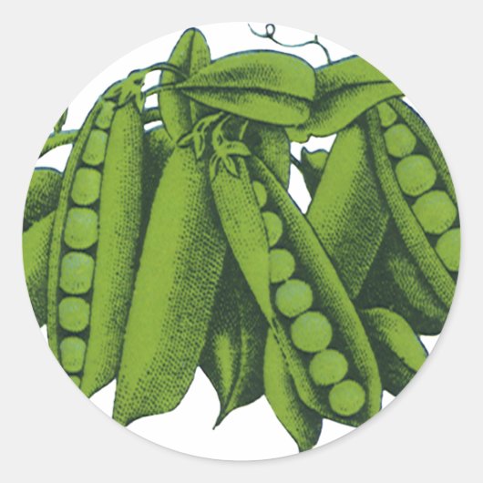 ヴィンテージサトウキビ，食品，健康な野菜 ラウンドシール (正面)