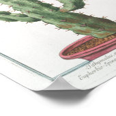 ヴィンテージサボタニカルポスターアート(8" x 12") ポスター (角)