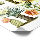 ヴィンテージサボテンイラストレーションポスター ポスター (角)