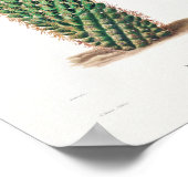 ヴィンテージサボテンイラストレーション ポスター (角)