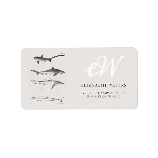 ヴィンテージサメイラストレーションチャート住所 シール (正面)