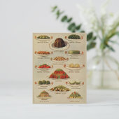 ヴィンテージサラダと野菜料理イラスト ポストカード (スタンド正面)