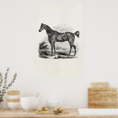 ヴィンテージサラブレッド馬パーソナライズされた馬団 ポスター (キッチン)