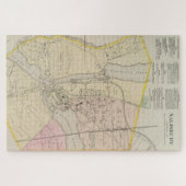 ヴィンテージサリスベリーMDの地図(1877) ジグソーパズル (横)