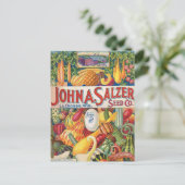 ヴィンテージサルツァー種子カタログ野菜 ポストカード (スタンド正面)