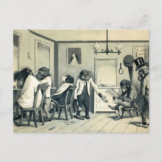 ヴィンテージサル理容師ショップはがき ポストカード (正面)